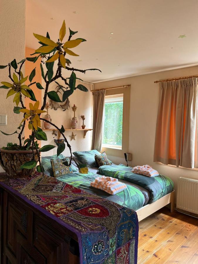 La Homestay Zandvoort